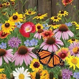 Meet your Posher, Kristine